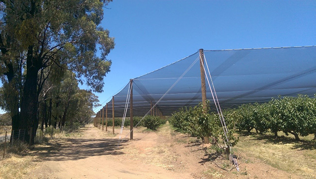 Agricultural Shade Structure anchored with Hulk Earth Anchors