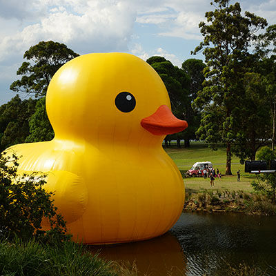 Giant duck anchored with Hulk Earth Anchors on the Parramatta river for the Sydney Festival.